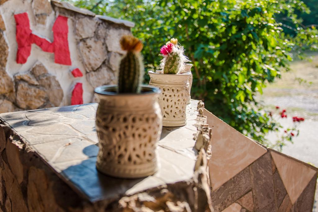 Ana Stjepan Nikolic - Pilgrim'S 2Nd Home Međugorje Buitenkant foto